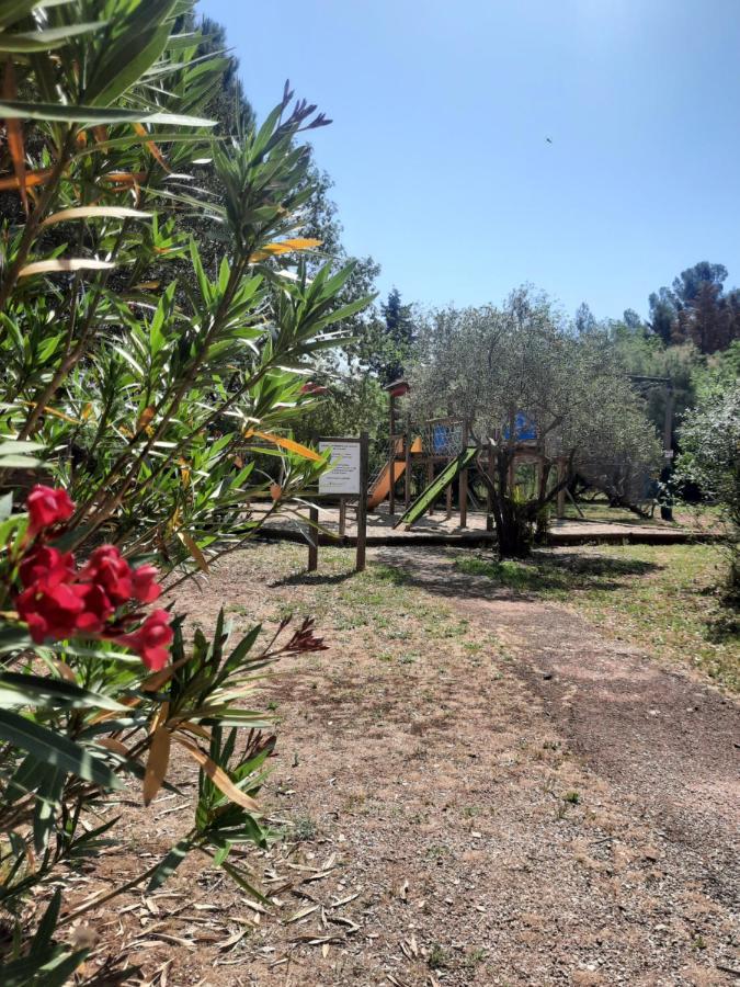 Relais Du Salagou - Chalets Climatises Proche Lac Du Salagou Le Bosc  Esterno foto